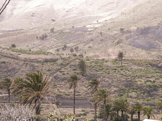 Exotic nature of the northern part of the Lanzarotte island. © Jan