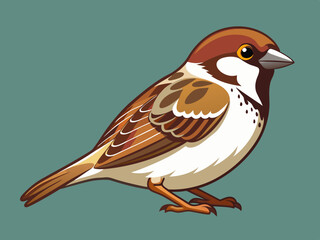 Illustration vectorielle premium Sparrow 

