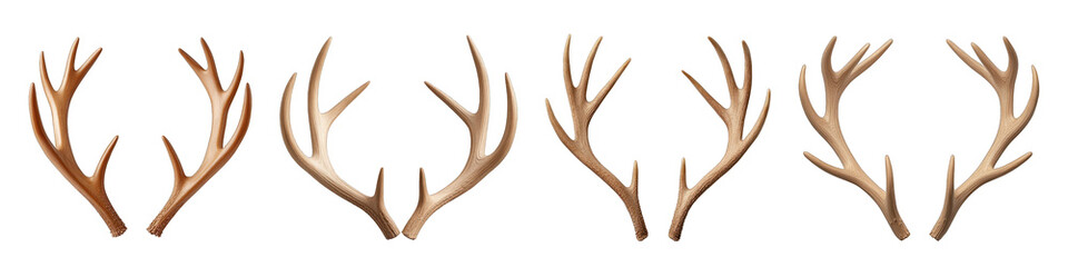 Obraz premium A collection of assorted deer antlers showcasing different shapes and sizes, perfect for rustic decor or wildlife themes. transparent background
