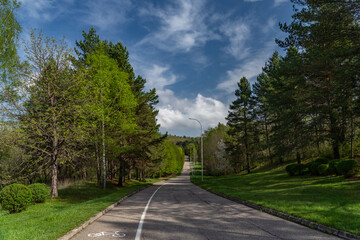 road in the park