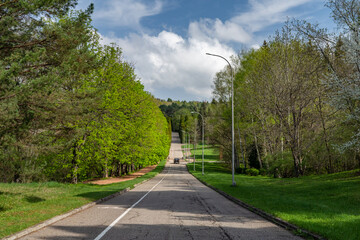 road in the park