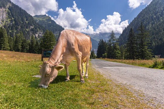 Impressionen aus Mallnitz Nationalpark Hohe Tauern Seebachtal