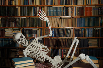 Human skeleton with books in the library.