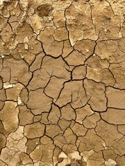 A detailed view of parched earth, where deep cracks create a mosaic of dry, textured soil. This image captures the stark, rugged beauty of a drought-stricken landscape.