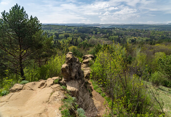 landscape with trees and clouds