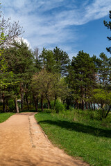 path in the park