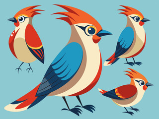 Waxwing Bird Various Poses Sequence Cartoon Vector Character