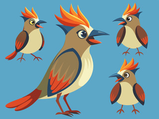 Waxwing Bird Various Poses Sequence Cartoon Vector Character