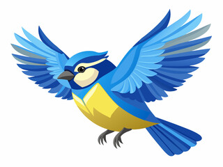 blue and yellow macaw