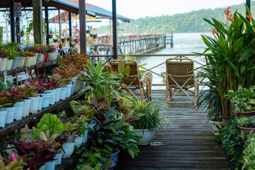 Beautiful garden on the wooden pier at Sim Sim village Sandakan Borneo Malaysia