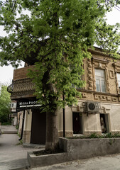 old wall with windows