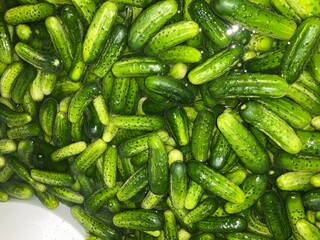 Green freshly picked cucumbers soak in water in - natural background. Topics: vegetables, cleanliness, preparation, washing vegetables, season, health, natural vitamins, food
