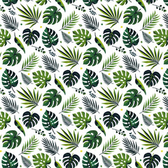 Pattern of Bright Colors Tropical Summer Leaves on a Transparent Background