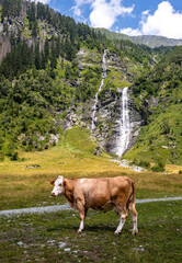 Impressionen aus Mallnitz Nationalpark Hohe Tauern Seebachtal