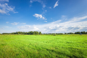 A large, open field with a clear blue sky