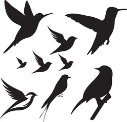 Obraz premium Birds family sets vector art illustration with white background