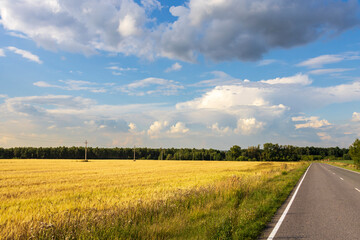 A road with a field of yellow grass in the background