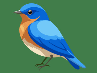 Vecteur Eastern Bluebird (Sialia sialis)