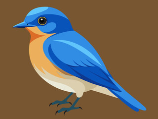 Vecteur Eastern Bluebird (Sialia sialis)