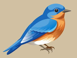 Vecteur Eastern Bluebird (Sialia sialis)