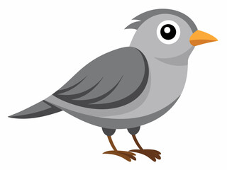 Le Moucherolle gris est un petit passereau insectivore de la famille des Tyrannidae. Passerin Oiseau Dessin animé style plat beau personnage d’ornithologie, illustration vectorielle isolée sur blanc
