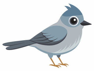 Le Moucherolle gris est un petit passereau insectivore de la famille des Tyrannidae. Passerin Oiseau Dessin animé style plat beau personnage d’ornithologie, illustration vectorielle isolée sur blanc
