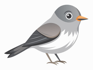 Le Moucherolle gris est un petit passereau insectivore de la famille des Tyrannidae. Passerin Oiseau Dessin animé style plat beau personnage d’ornithologie, illustration vectorielle isolée sur blanc
