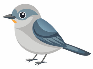 Le Moucherolle gris est un petit passereau insectivore de la famille des Tyrannidae. Passerin Oiseau Dessin animé style plat beau personnage d’ornithologie, illustration vectorielle isolée sur blanc
