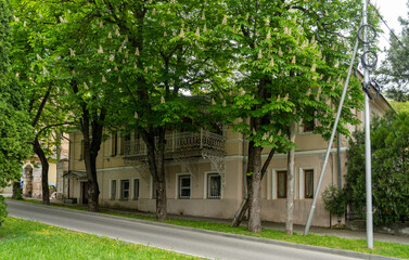 old wall with windows