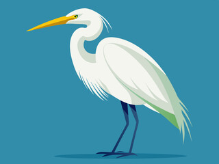 Dessin vectoriel de l’aigrette blanche
