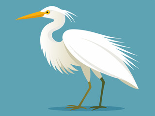 Dessin vectoriel de l’aigrette blanche
