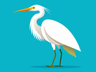 Dessin vectoriel de l’aigrette blanche
