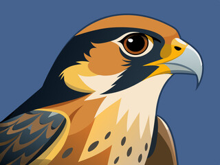 Faucon de Nouvelle-Zélande, Falco Novaeseelandiae 