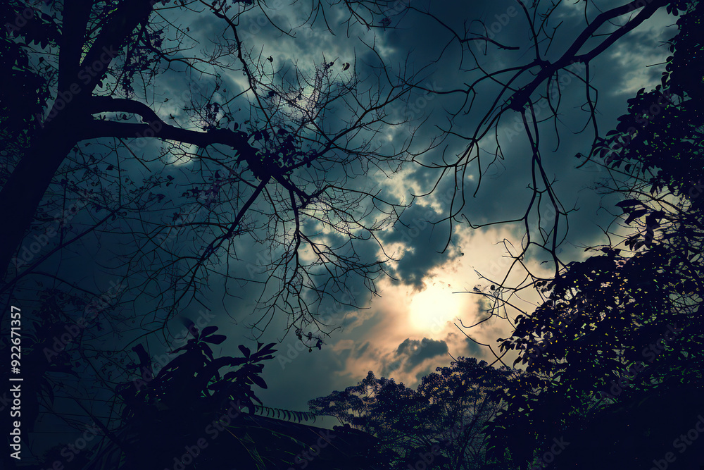 Canvas Prints an image of a lone tree standing steadfast against a backdrop of dark, dramatic clouds, embodying re