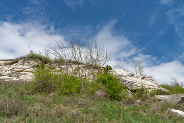 landscape with sky