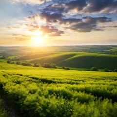 Fototapeta premium sunrise over the field