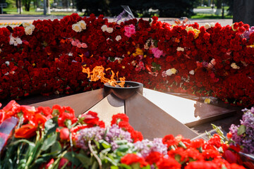Eternal flame in the middle of red carnations and different colors, Victory Day holiday on May 9th...