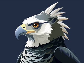 Noir et blanc couleur harpie aigle sauvage nature oiseau chasseur prédateur carnivore fort animal 

