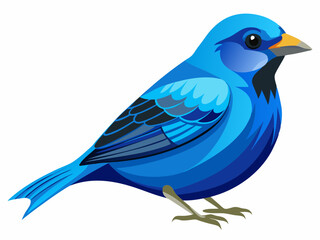 Passerin indigo