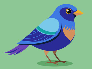 Passerin indigo