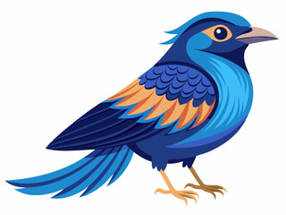 Passerin indigo