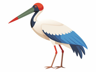 Oiseau de cigogne de Jabiru sur un fond blanc 
