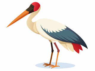 Oiseau de cigogne de Jabiru sur un fond blanc 
