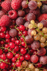 Berries background. Fresh red Summer Berry mix with Raspberry, Red and green currants and gooseberry top view