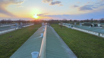 Aerial view over many chicken farm houses, during sunset. Drone shot © TechAnimationStock
