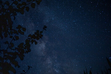 STARRY SKY WITH THE MILKY WAY