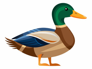 Obraz premium Wild Mallard Duck Swimming in Tranquil Pond, Serene Natural Habitat, Vibrant Wildlife Photography.