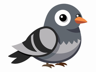 Blanc et gris couleur petit oiseau deuil colombe espèces assez mignon nature animal belle faune créature
