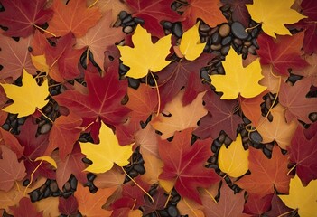 Fototapeta premium colorful autumn leaves illustration