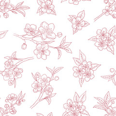 Seamless pattern with cherry blossom branches with beautiful flowers and buds in pink on white. Hand drawn vector sketch illustration in doodle engraved vintage line art style. Floral botanical